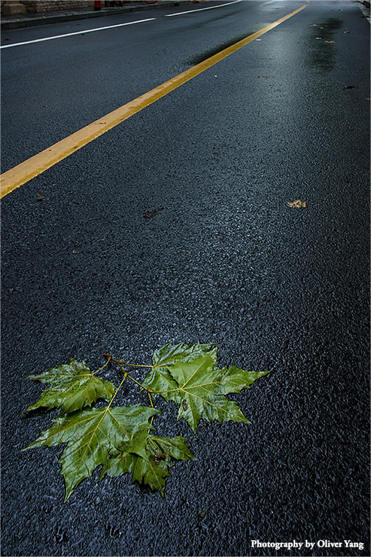 ����� �� ��ͷ