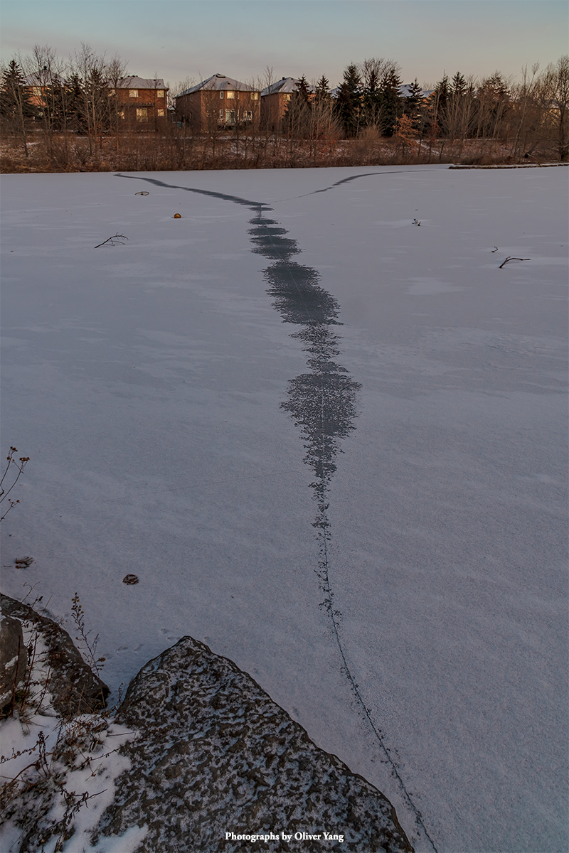 青玉案·藏头（一月份是南渔人村多雪的季节 - 杨元光先生语）
