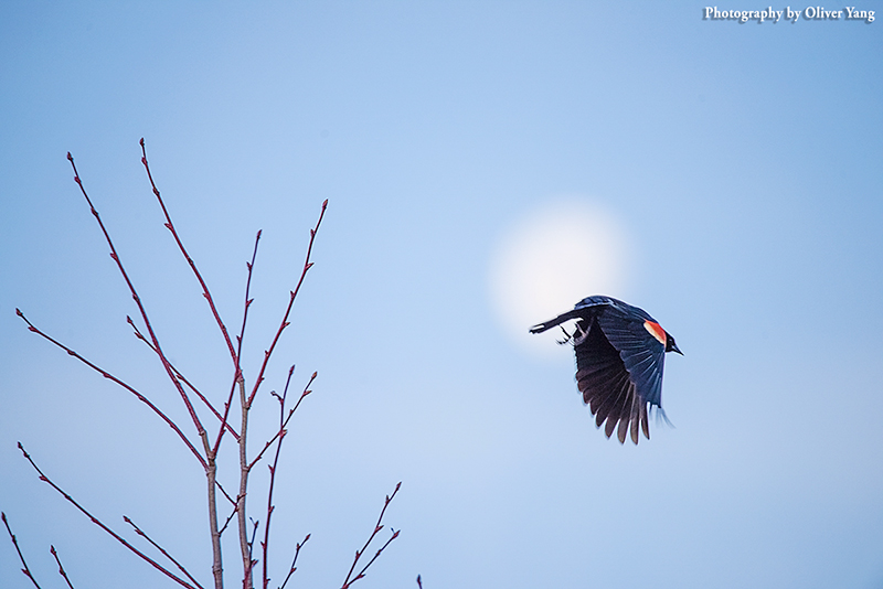 �µ����䴺��Ũ