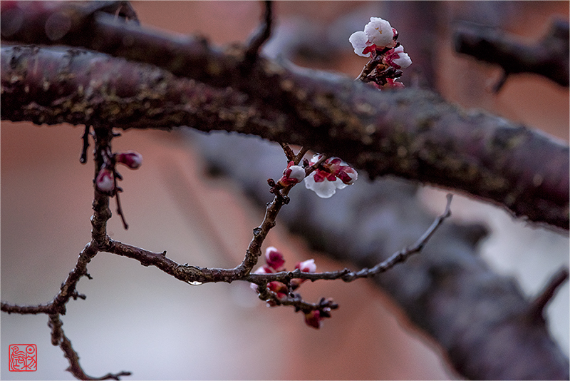 ЦͷһЦ硪޻ʫ䣩