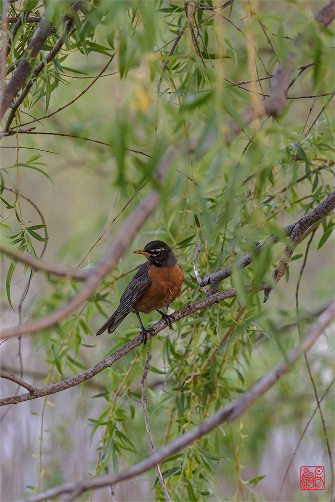 天仙子·藏头（也对清风坐定）
