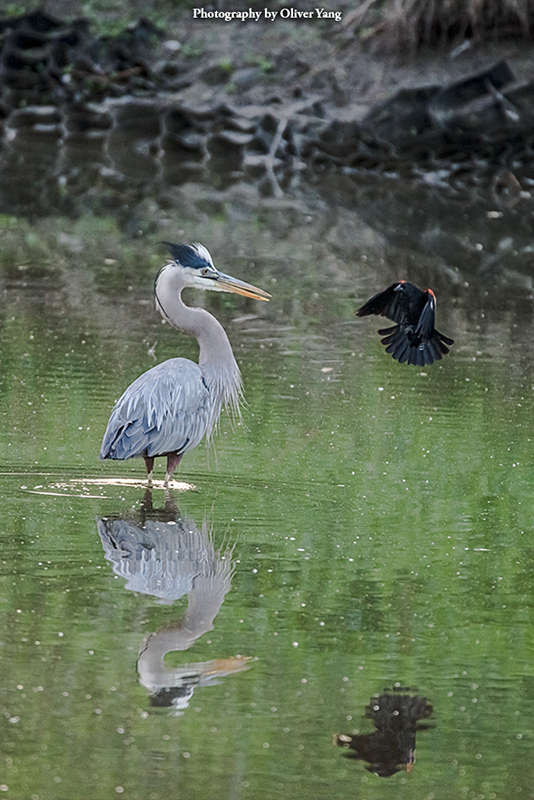 ���غ�֪����