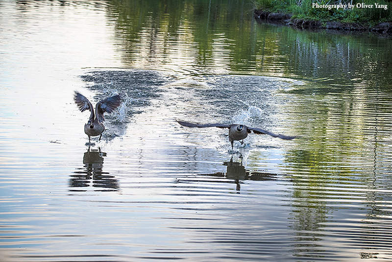 ����Ե����ˮ��