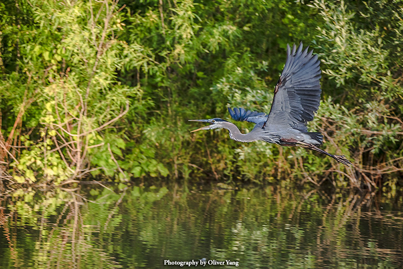 ��Ұ���ٺδ���