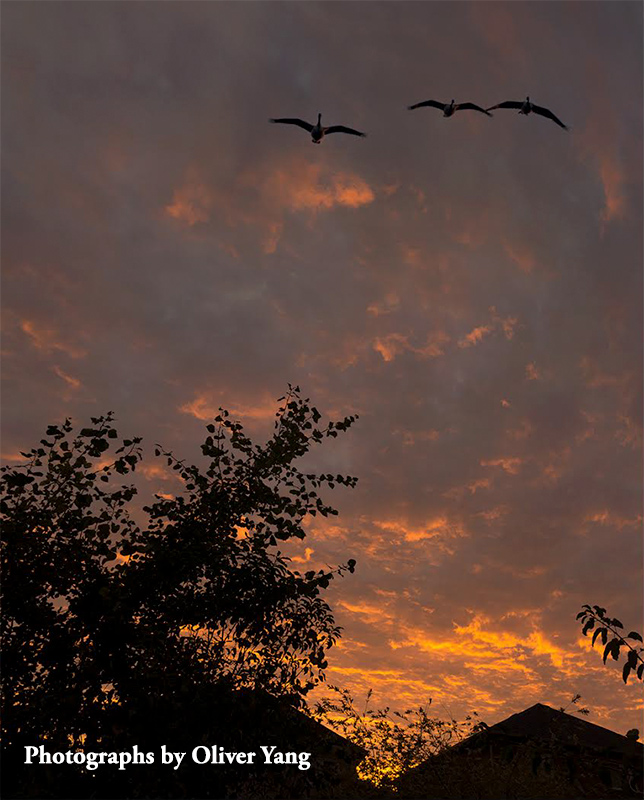 ��ͷ����ϼ��� -- ������