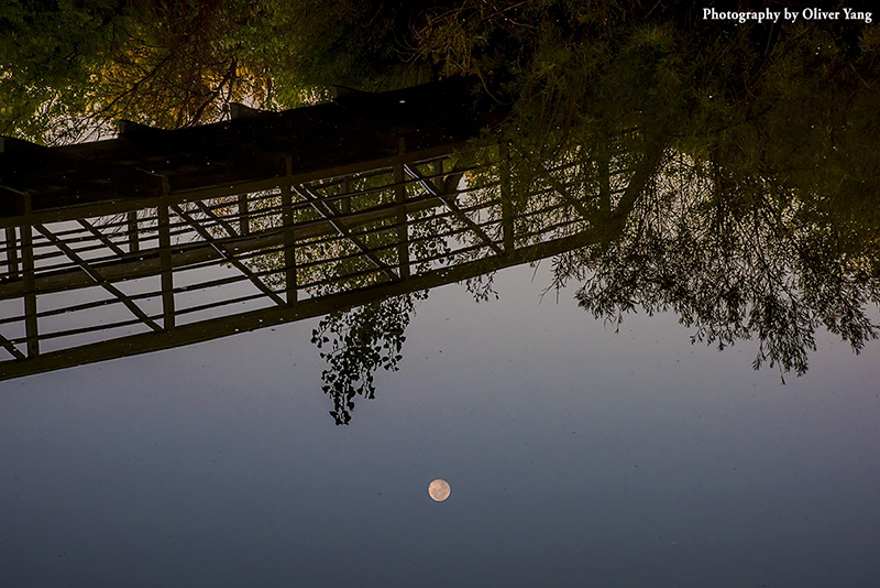 ��԰�� �� ��˼