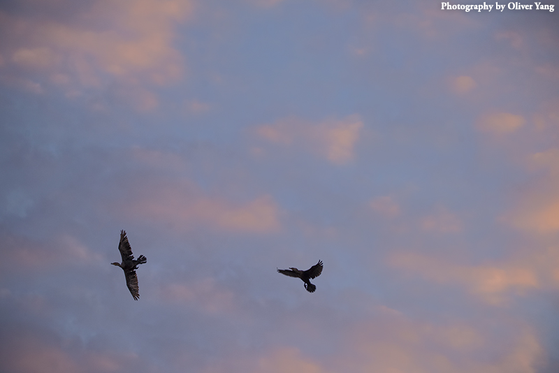 ��筴� �� ���