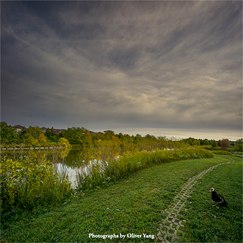 ����ɳ����ͷ��������졪������