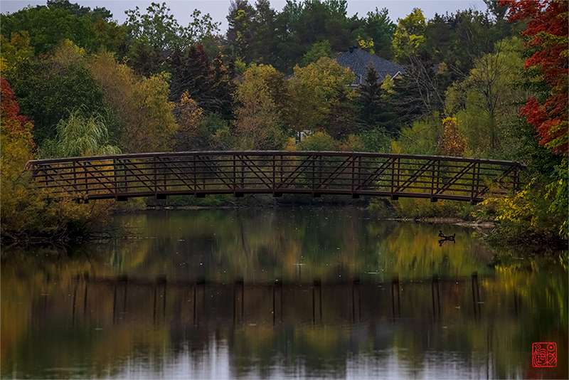苏幕遮·藏头（为寻庄子知归处，认得无何是本乡 - 白居易诗句）