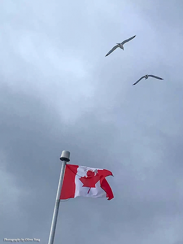 ��ȡ������