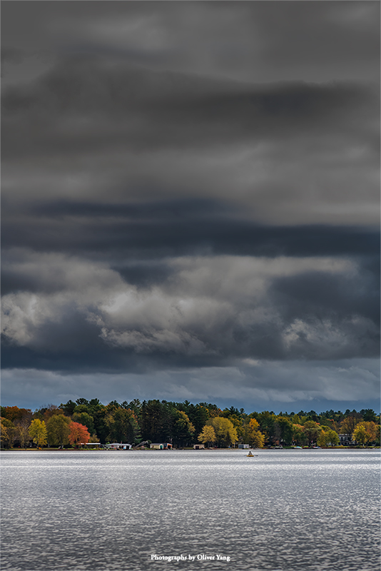少年游·藏头（朝采南涧藻，夕息西山足—陆机《招隐》诗句）