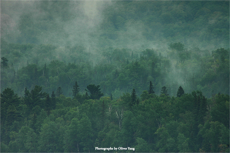 忆江南·藏头（山色有无间—詹融兄语）