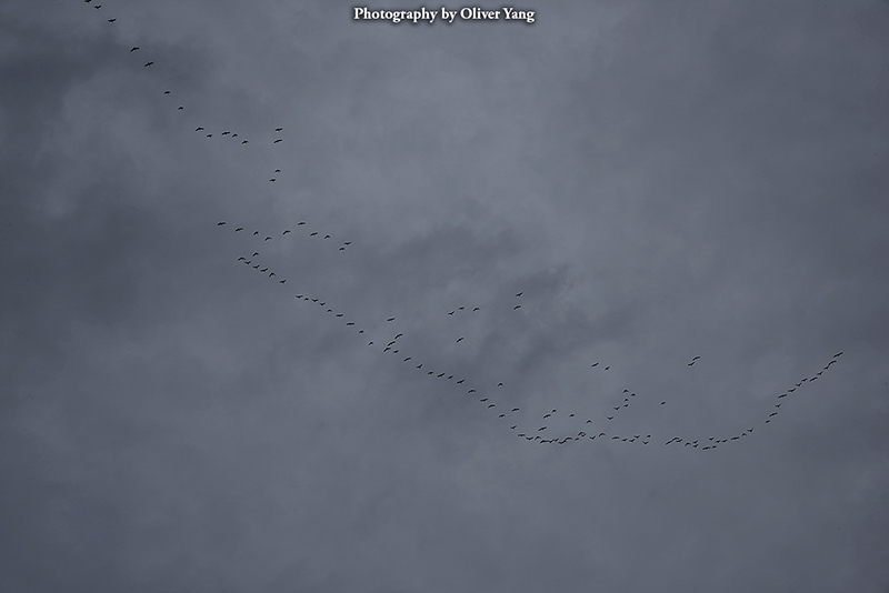 ����������³�