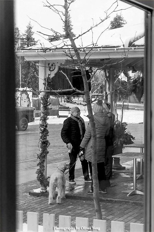 ����ɳ����ͷ��������֣�