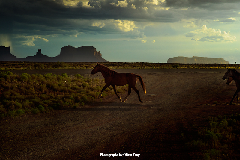 Цͷ޴Χǡͬѧ