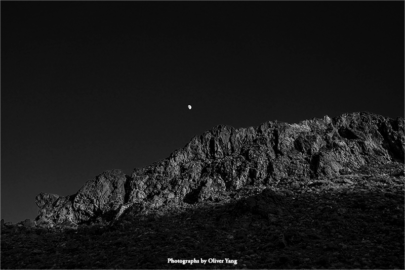 柳梢青·藏头（岁月悠远隔世，前辈形容依稀—陈引驰教授语）