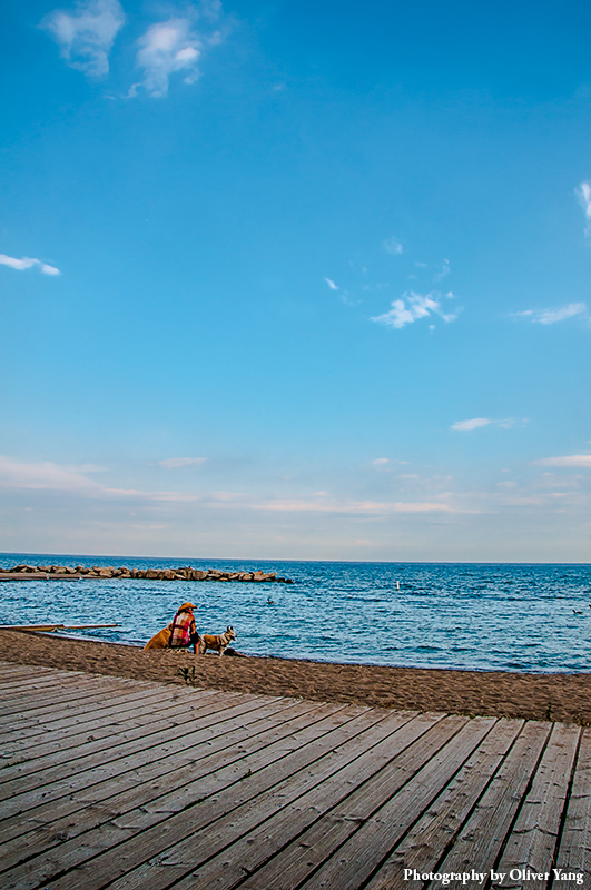 ��׷���˿�