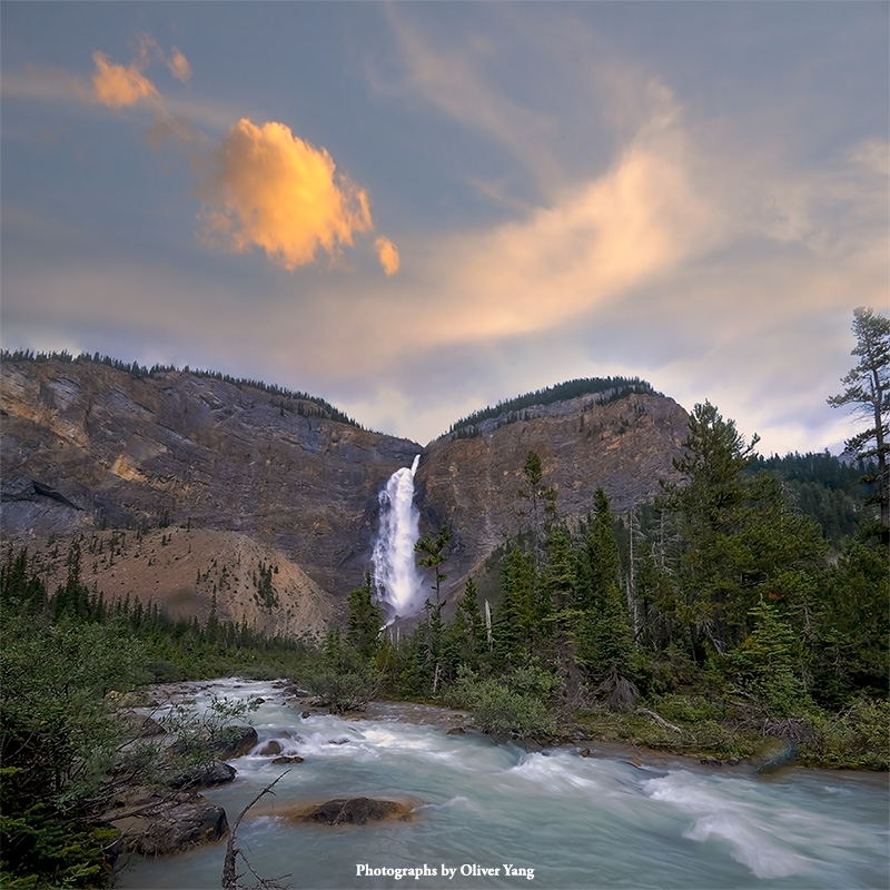 ����ɳ����ͷ�����մ�ѩ��